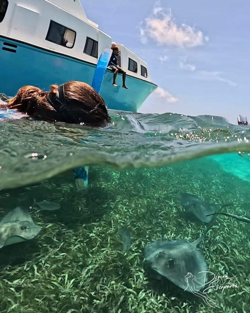 Snorkeling at Shark Ray Alley Belize