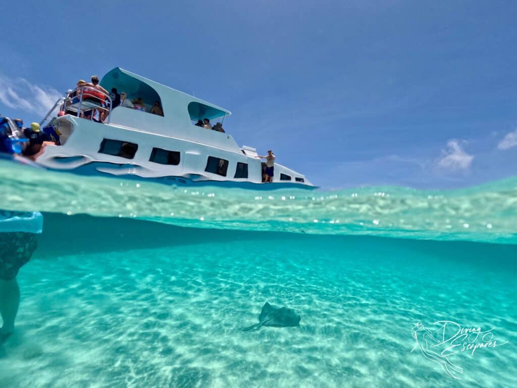 Excusrion boat