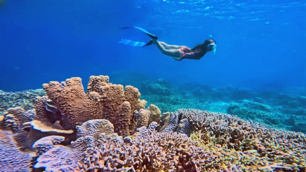 Lorie Neuberger-Castillo - Diving Escapades