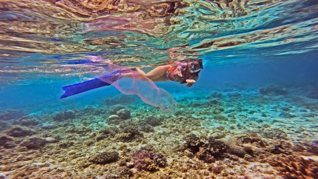 Lorie Neuberger-Castillo - Diving Escapades