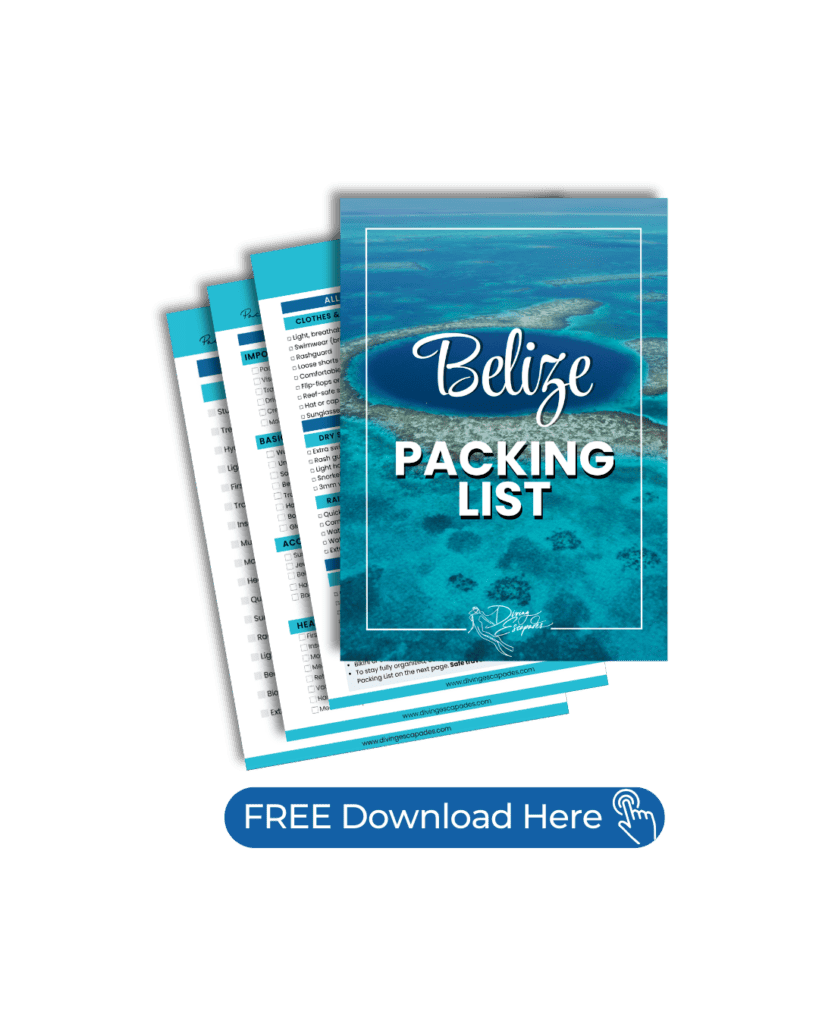 Diving Escapades Belize Packing List FREE download