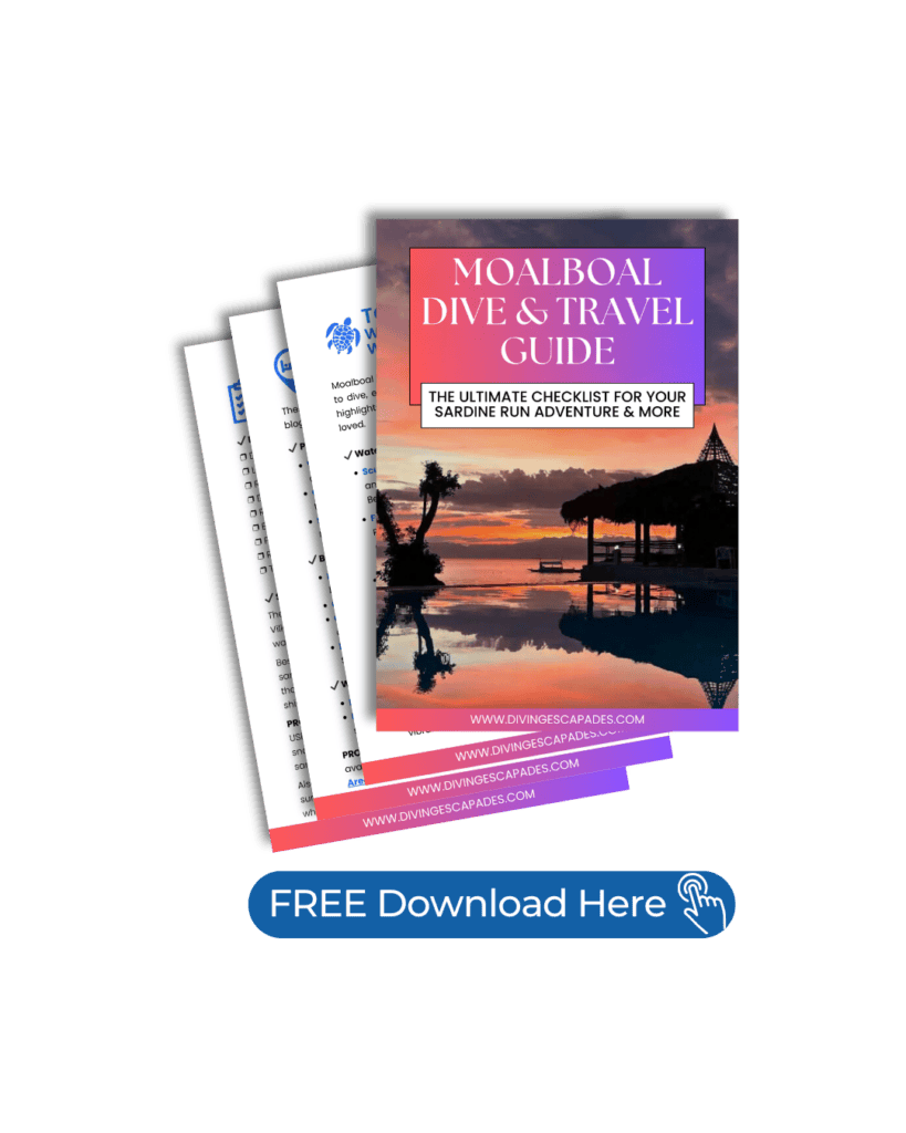 Diving Escapades Moalboal Guide FREE download