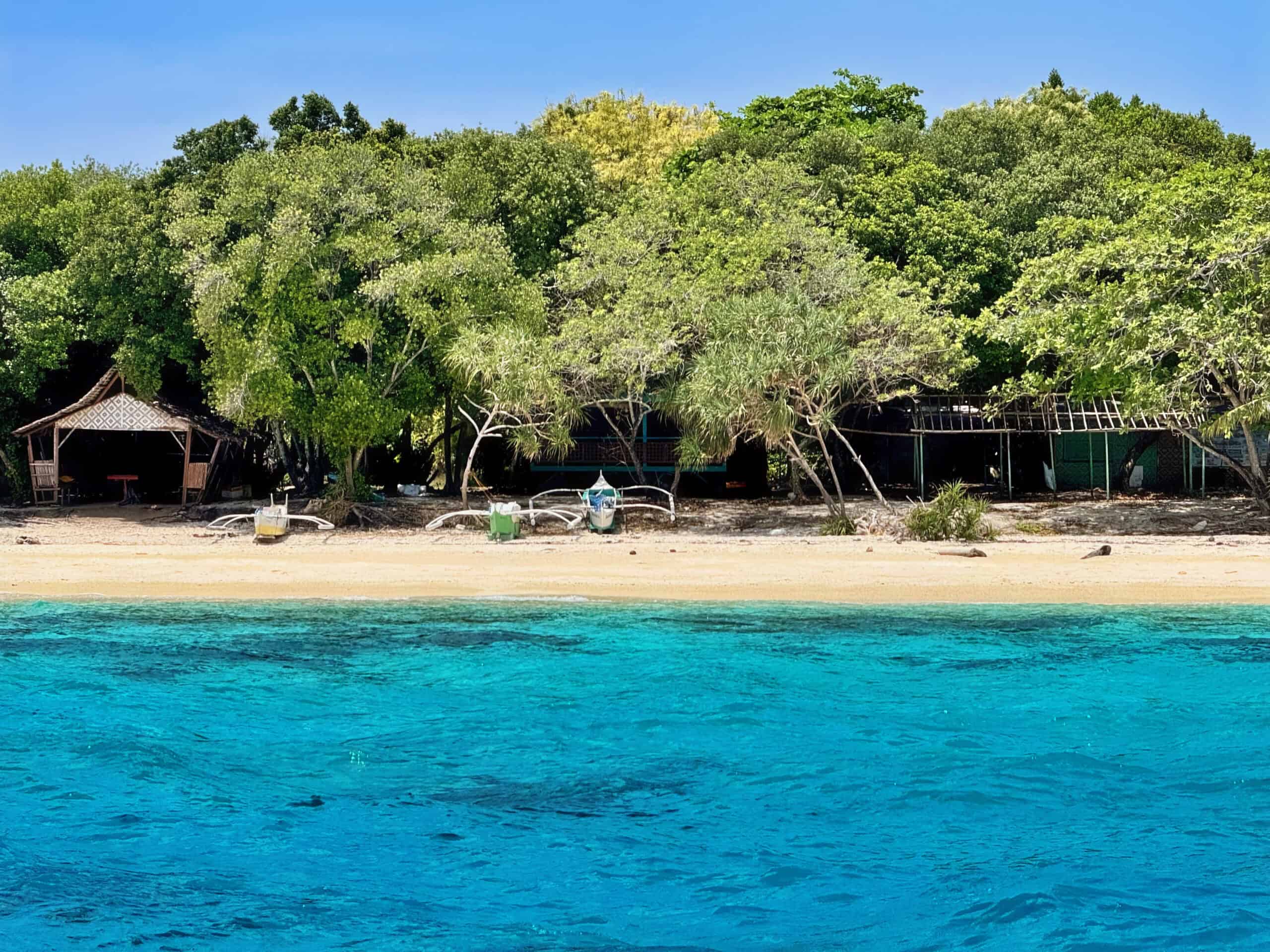 Bohol Philippines diving