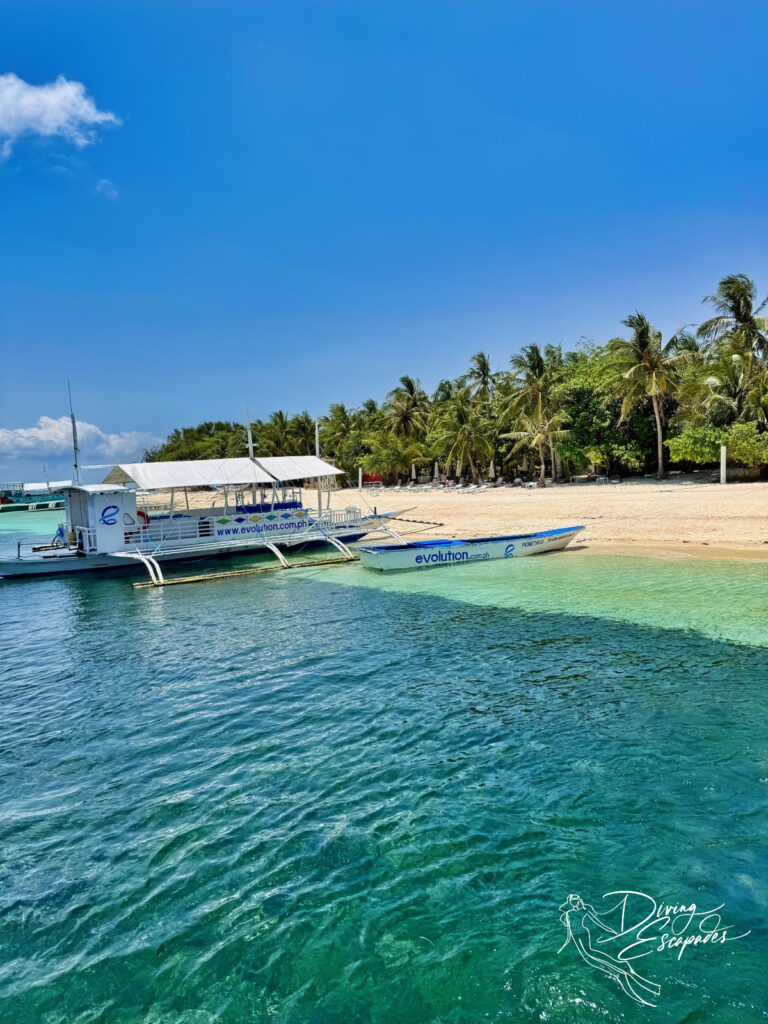 Evolution Diving in Malapascua Island