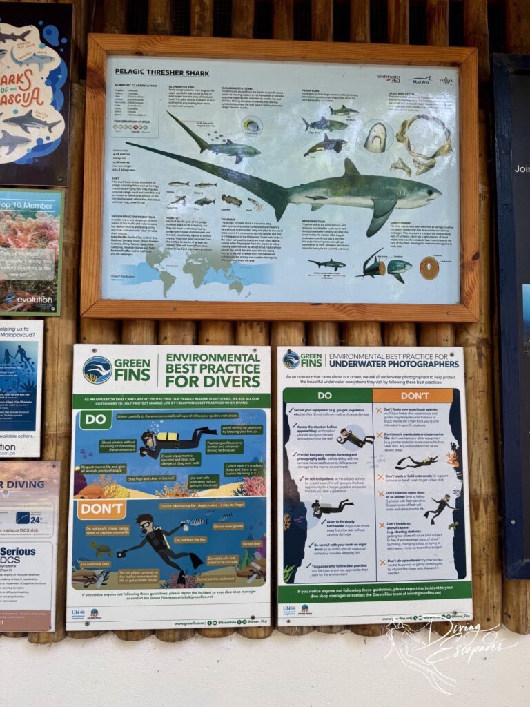 GreenFins signage