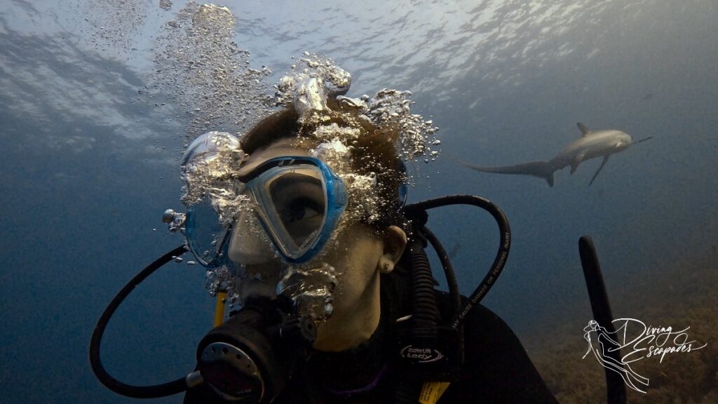 Malapascua Diving, thresher sharks behind