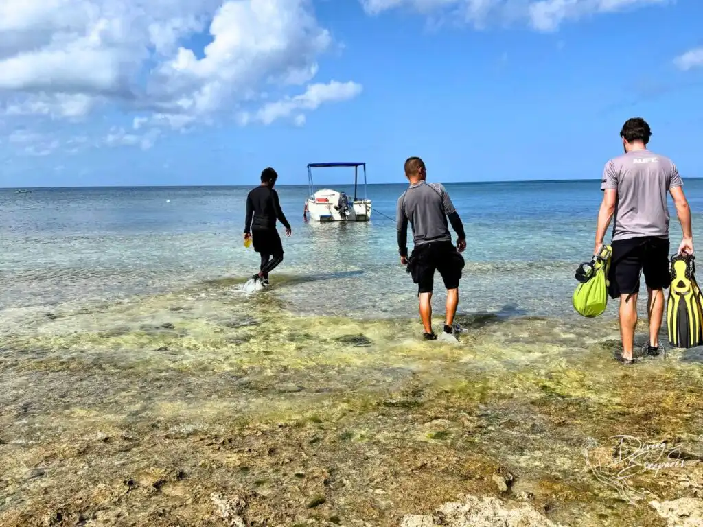 Wading through the shallow, rocky shore to reach our dive boat in Siquijor.