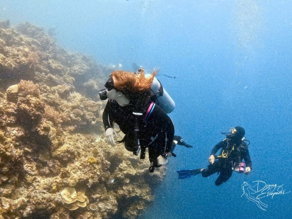 Drift diving in Balicasag Island