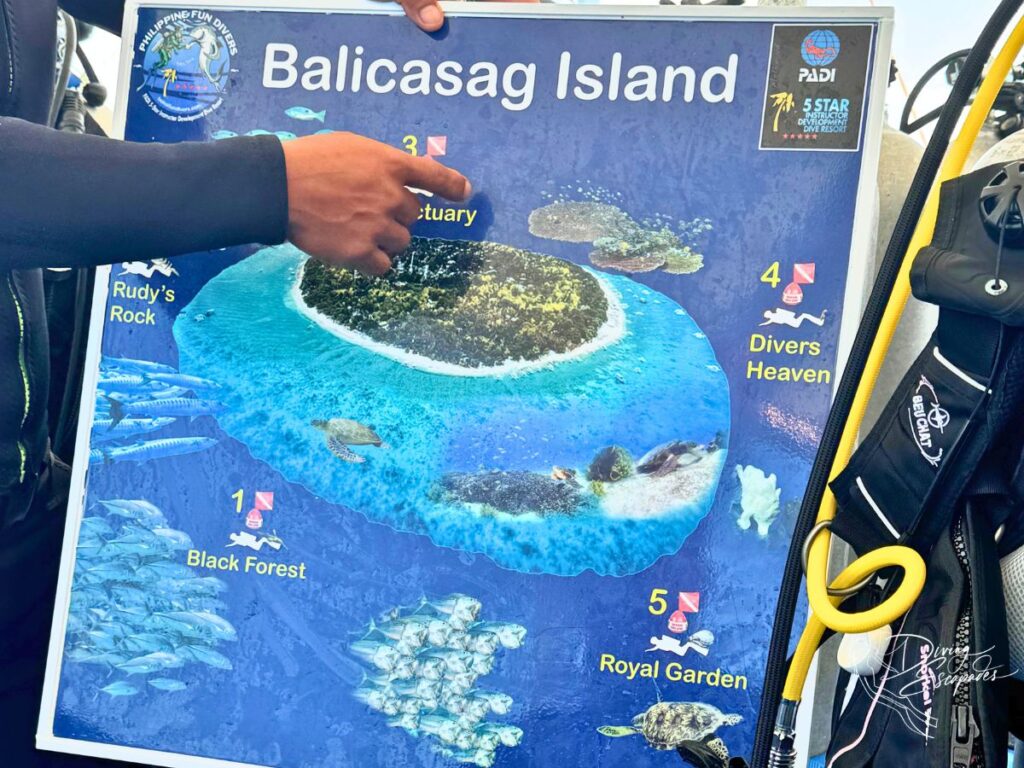 Balicasag Island Diving - dive sites