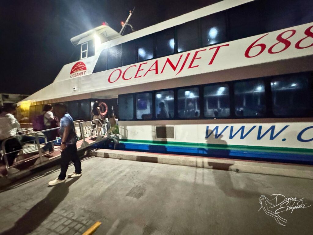 Cebu to Bohol Ferry
