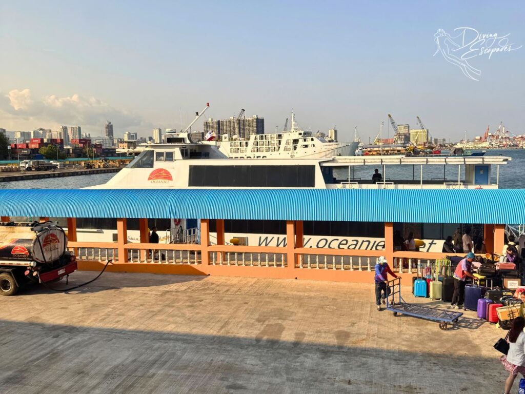 Cebu to Bohol Ferry